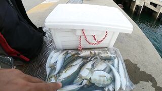 หัวหิน: морская ловля когда рыба заходит и пакет почти рвется от улова