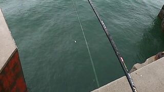 หัวหิน: морская ловля когда рыба заходит и пакет почти рвется от улова