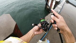 หัวหิน: морская ловля когда рыба заходит и пакет почти рвется от улова