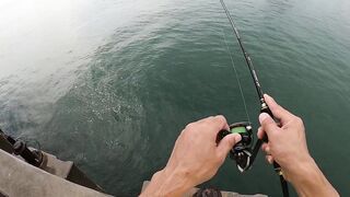 หัวหิน: морская ловля когда рыба заходит и пакет почти рвется от улова