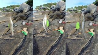 หัวหิน: ловля на песке и свежий улов прямо с моря