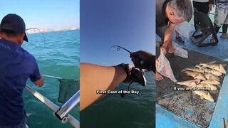 Singapore Waters - tenya с лодки: ловим grouper. Морская рыбалка в Singapore, рабочие веса