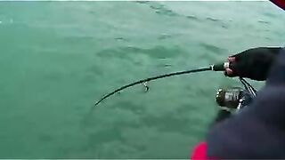 Приключение на восточном море Китая: необитаемый остров, морской судак и береговая ловля