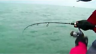 Приключение на восточном море Китая: необитаемый остров, морской судак и береговая ловля