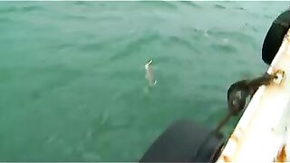 Приключение на восточном море Китая: необитаемый остров, морской судак и береговая ловля