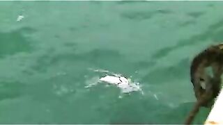 Приключение на восточном море Китая: необитаемый остров, морской судак и береговая ловля