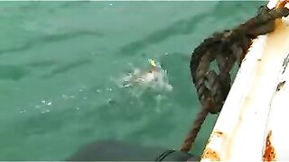 Приключение на восточном море Китая: необитаемый остров, морской судак и береговая ловля