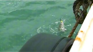 Приключение на восточном море Китая: необитаемый остров, морской судак и береговая ловля