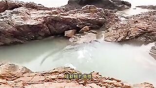 东海 под дождем и бой с 青蟹 кто выдержит этот замес в яме?