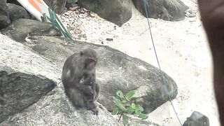 Остров Чам / Cù Lao Chàm - морская рыбалка во Вьетнаме рядом с Danang