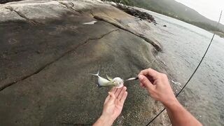 Остров Чам / Cù Lao Chàm - морская рыбалка во Вьетнаме рядом с Danang