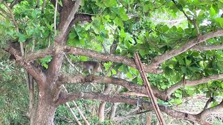 морская рыбалка в Дананге Danang снова с обезьянками воришками и клевом