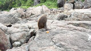 морская рыбалка в Дананге Danang снова с обезьянками воришками и клевом