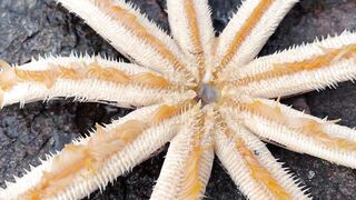 морская рыбалка в Дананге Danang снова с обезьянками воришками и клевом