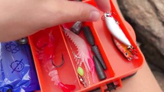 морская рыбалка в Дананге Danang снова с обезьянками воришками и клевом