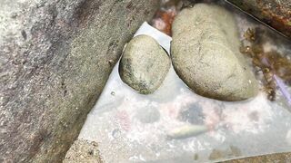 морская рыбалка в Дананге Danang снова с обезьянками воришками и клевом