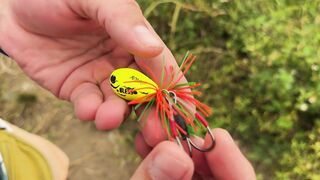 Дананг / Da Nang - ловим змееголова. Рыбалка во Вьетнаме, где нашли точку?