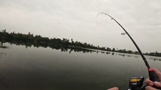 Дананг / Da Nang - ловим змееголова. Рыбалка во Вьетнаме, где нашли точку?