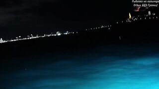 Дананг / Da Nang - экстремальная рыбалка во Вьетнаме. Кальмары, и почему было страшно?