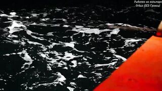 Дананг / Da Nang - экстремальная рыбалка во Вьетнаме. Кальмары, и почему было страшно?