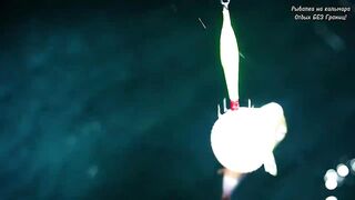 Дананг / Da Nang - экстремальная рыбалка во Вьетнаме. Кальмары, и почему было страшно?