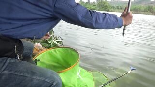 DaNang Lake: спокойная рыбалка у озера, что клюёт днем