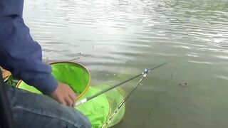 DaNang Lake: спокойная рыбалка у озера, что клюёт днем