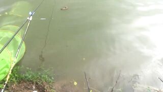 DaNang Lake: спокойная рыбалка у озера, что клюёт днем