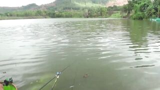 DaNang Lake: спокойная рыбалка у озера, что клюёт днем