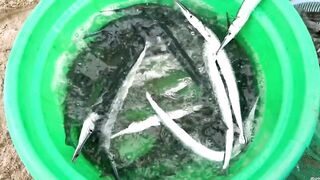 Đà Nẵng: ловля cá hồng и сколько реально стоит такой улов