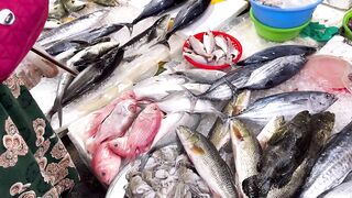 Đà Nẵng: ловля cá hồng и сколько реально стоит такой улов