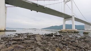 Đà Nẵng: ловля cá hồng и сколько реально стоит такой улов