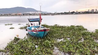 Đà Nẵng: ловля cá hồng и сколько реально стоит такой улов