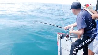 Đà Nẵng: ловим акулу и едим говядину с соусом прямо у моря, серия Câu Cá Biển