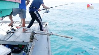 Đà Nẵng: ловим акулу и едим говядину с соусом прямо у моря, серия Câu Cá Biển