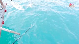 Đà Nẵng: ловим акулу и едим говядину с соусом прямо у моря, серия Câu Cá Biển