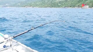 Đà Nẵng: ловим акулу и едим говядину с соусом прямо у моря, серия Câu Cá Biển