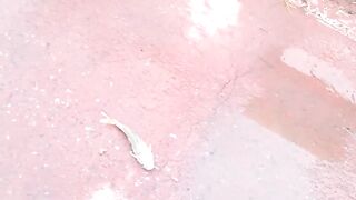 DANANG: câu cá úc на Sông Hàn - какая снасть и где брать наживку