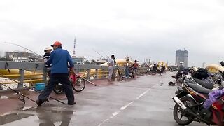 DANANG: câu cá úc на Sông Hàn - какая снасть и где брать наживку