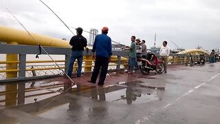 DANANG: câu cá úc на Sông Hàn - какая снасть и где брать наживку