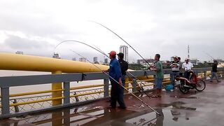 DANANG: câu cá úc на Sông Hàn - какая снасть и где брать наживку