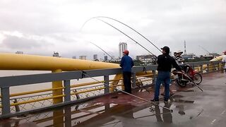 DANANG: câu cá úc на Sông Hàn - какая снасть и где брать наживку