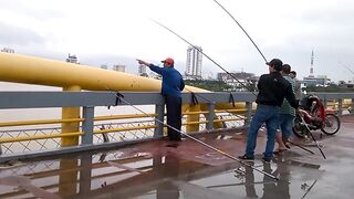 DANANG: câu cá úc на Sông Hàn - какая снасть и где брать наживку