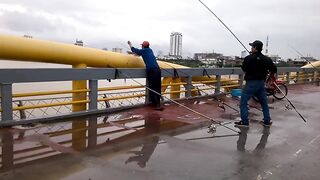 DANANG: câu cá úc на Sông Hàn - какая снасть и где брать наживку