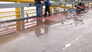 DANANG: câu cá úc на Sông Hàn - какая снасть и где брать наживку