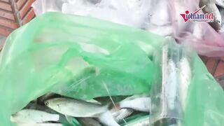 Дананг: массовая рыбалка на бульон из муки и пластиковую бутылку крупным планом