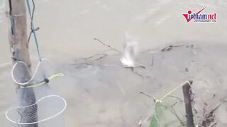 Дананг: массовая рыбалка на бульон из муки и пластиковую бутылку крупным планом