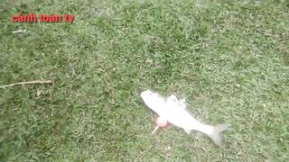 Đà nẵng: как связать снасть на cá mè и сделать мормышку чувствительнее