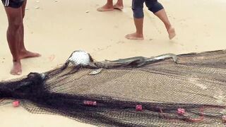 Phuket Karon Fishing 2020 ловля на пляже Карон что ловили и на что брало