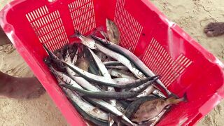 Phuket Karon Fishing 2020 ловля на пляже Карон что ловили и на что брало